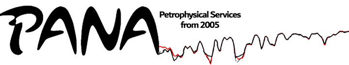 PANA PETROPHYSICS